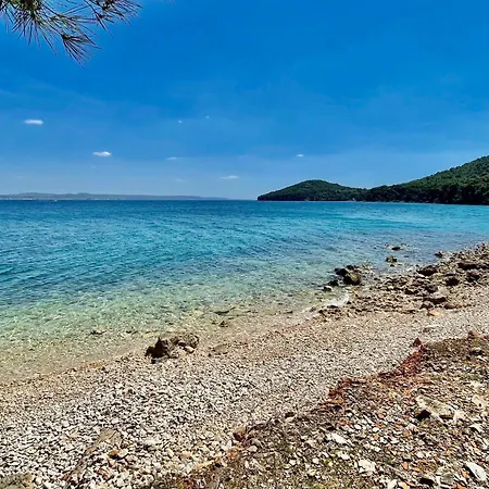 Appartement By The Sea Kali, Ugljan - 11639